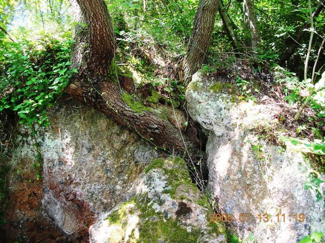 Tuscia nascosta